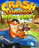 Crash_Bandicoot_Nitro_Kart.jar